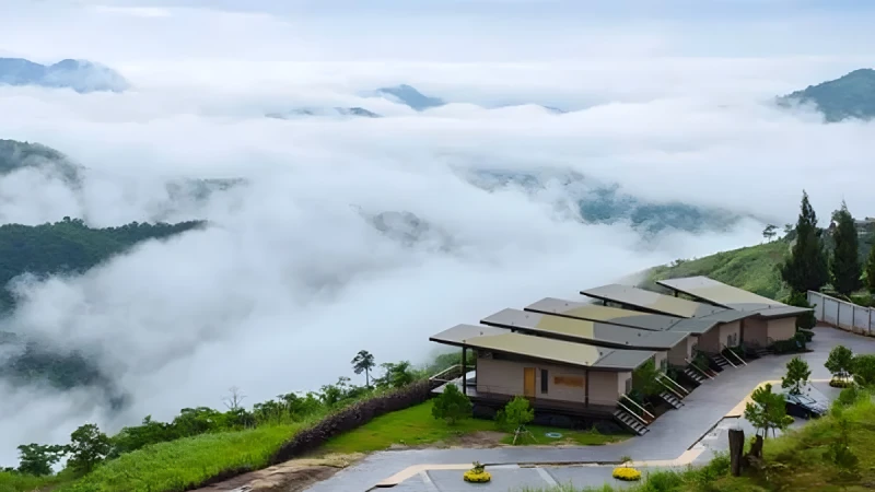 เช่ารถตู้ VIP ไปเขาค้อ-ภูทับเบิก ทริปทะเลหมอก พร้อมคนขับ