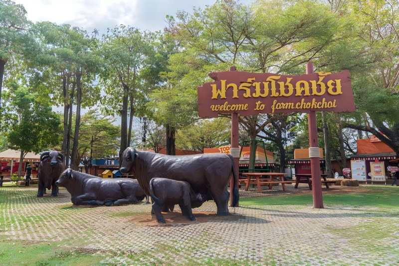 ฟาร์มโชคชัย